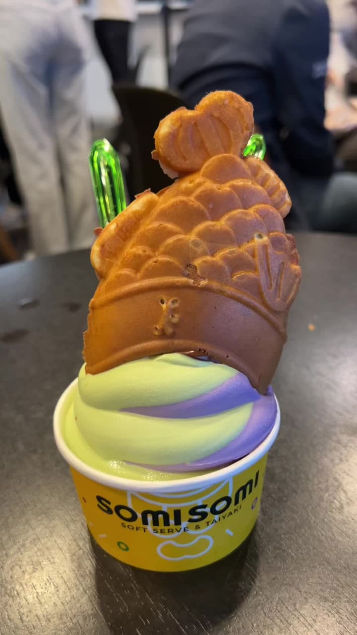 Video review of Somisomi Soft Serve & Taiyaki