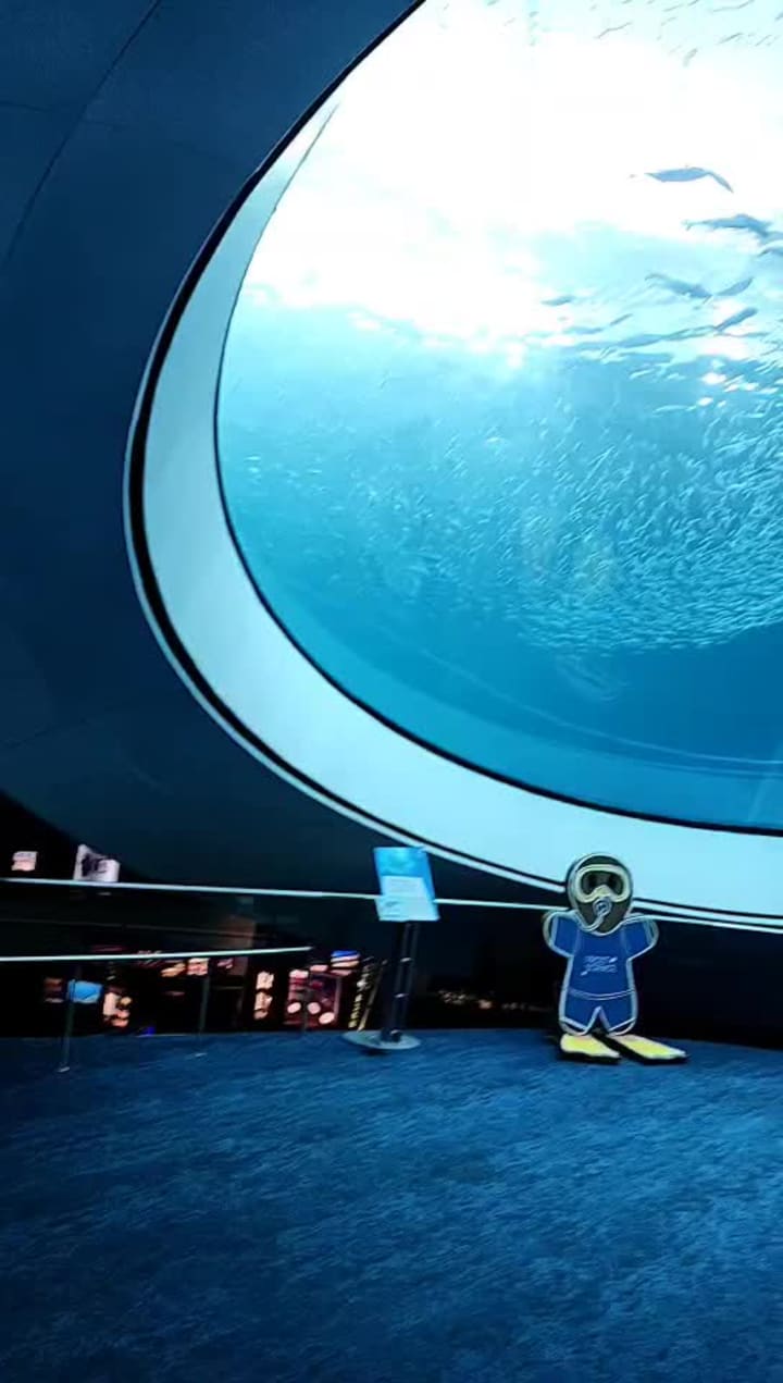 Phillip & Patricia Frost Museum of Science