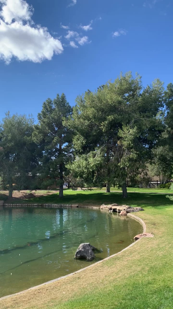 Japanese Friendship Garden of Phoenix