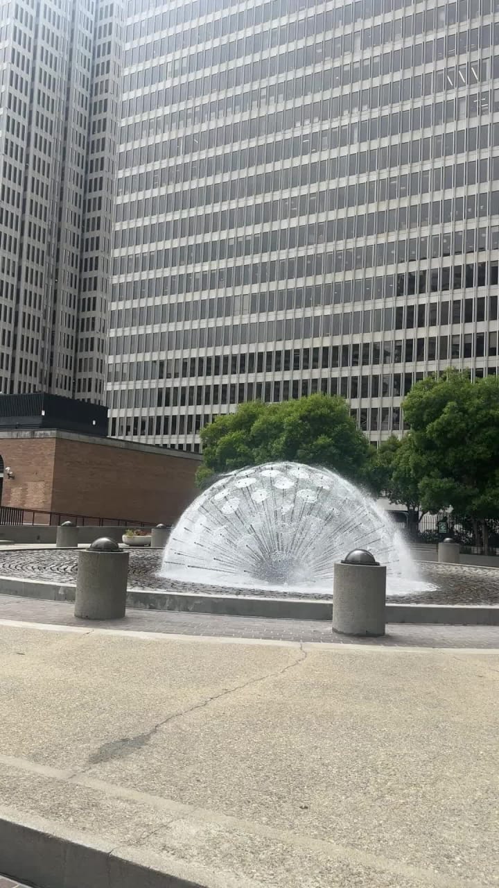 Video review of The Daily Habit