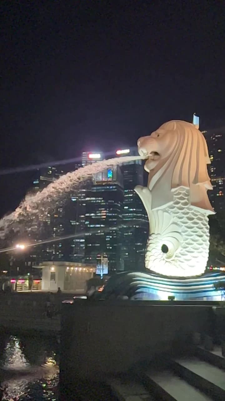 Video review of The Merlion