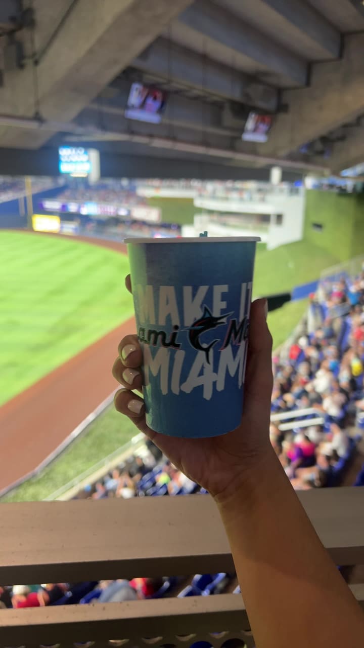 Video review of loanDepot park