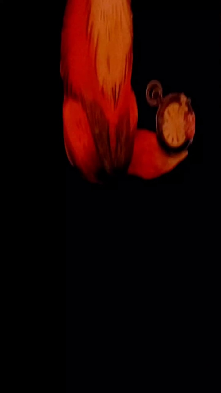 Video review of Fairlane Hotel Nashville, by Oliver