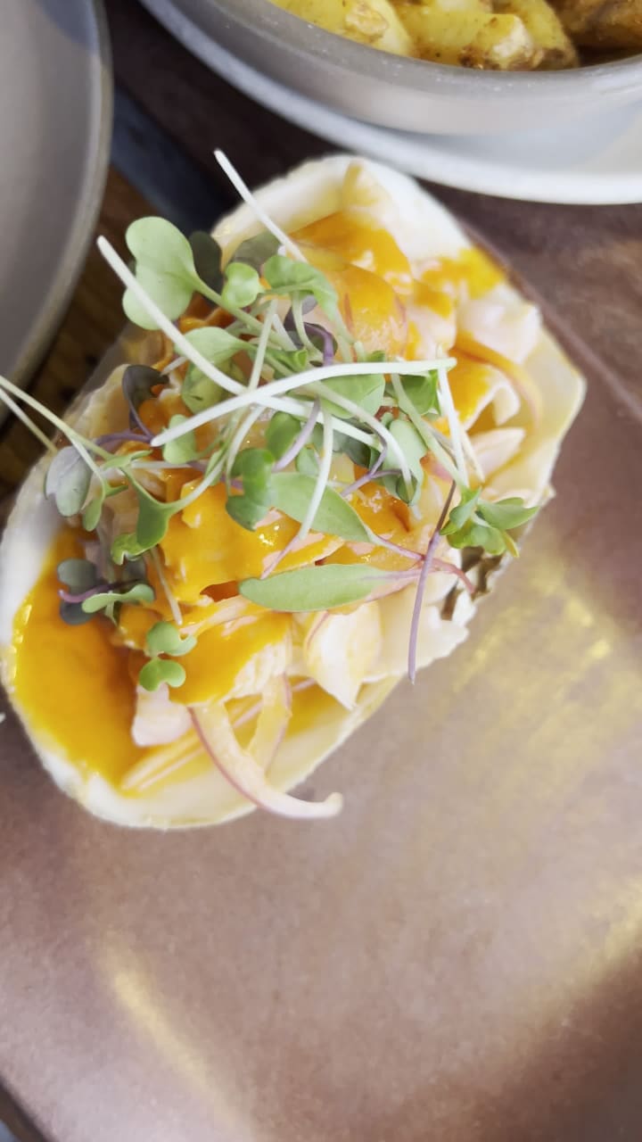 Hog Island Oyster Co.