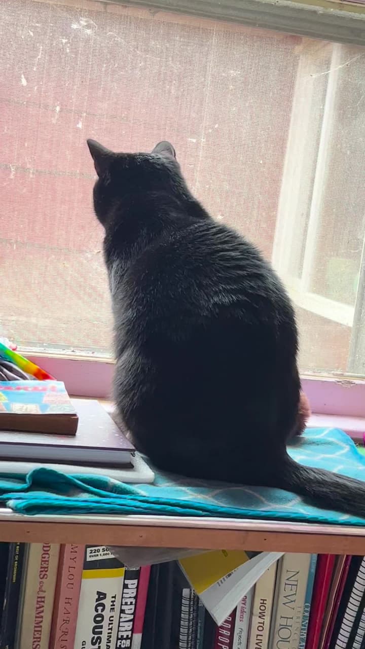 Olive Fire Department-Company 1 Olivebridge