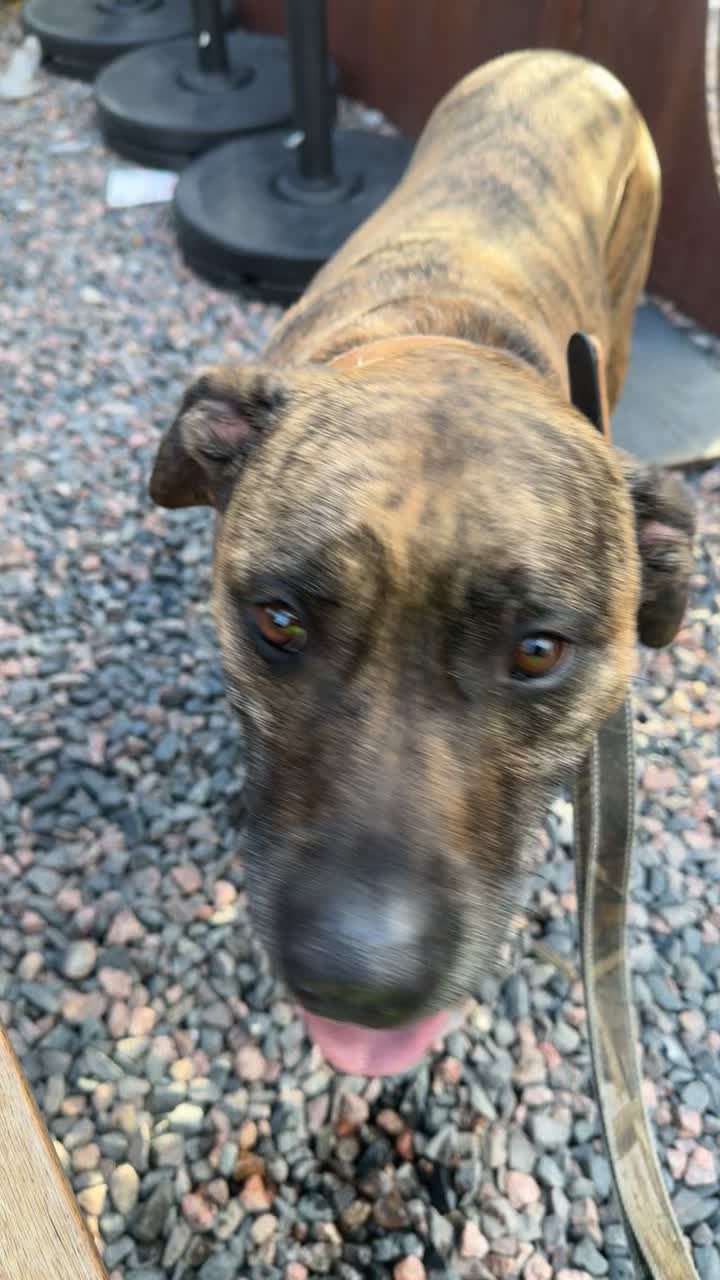 Video review of Ratio Beerworks