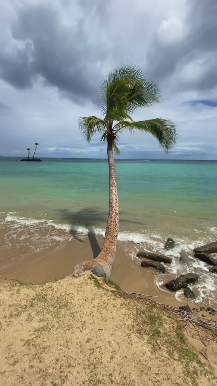 Video review of Kahala Beach