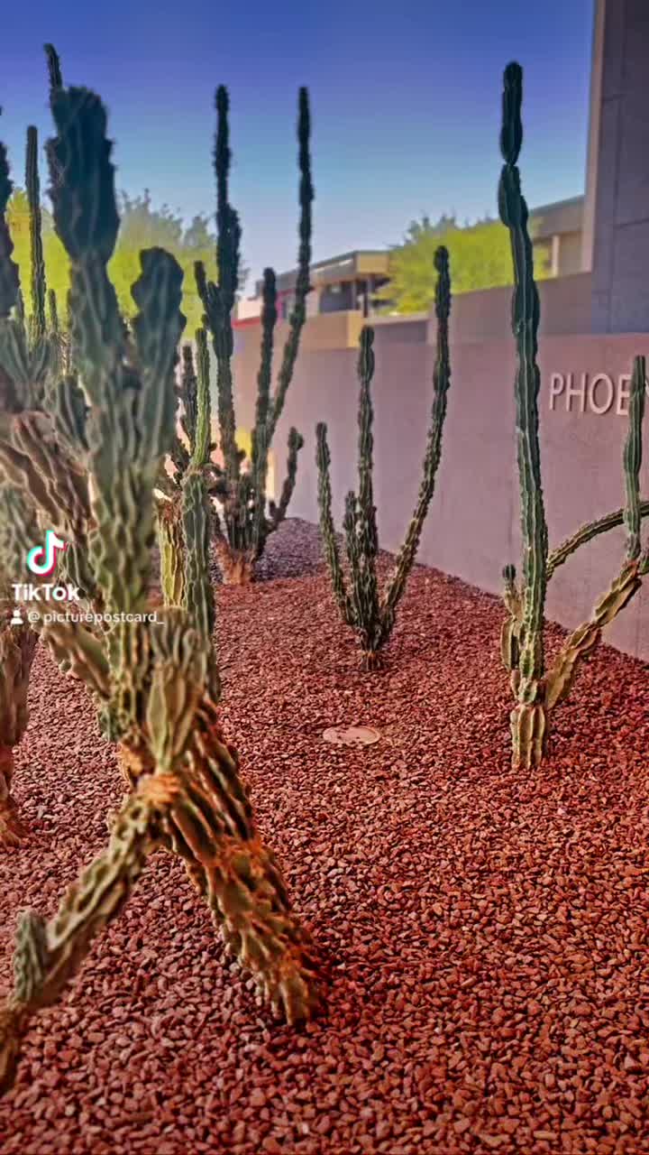 Video review of Phoenix Art Museum