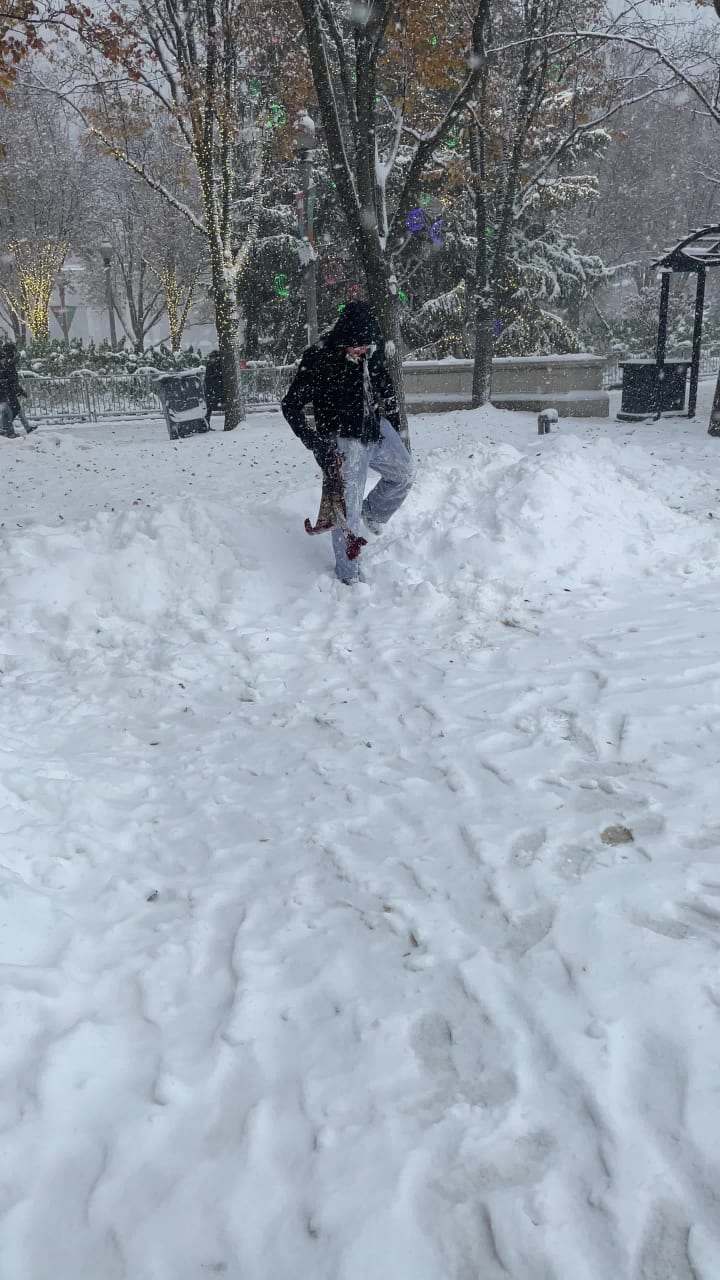 Video review of Remington's