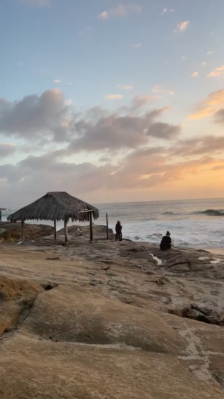 Video review of Windansea Beach