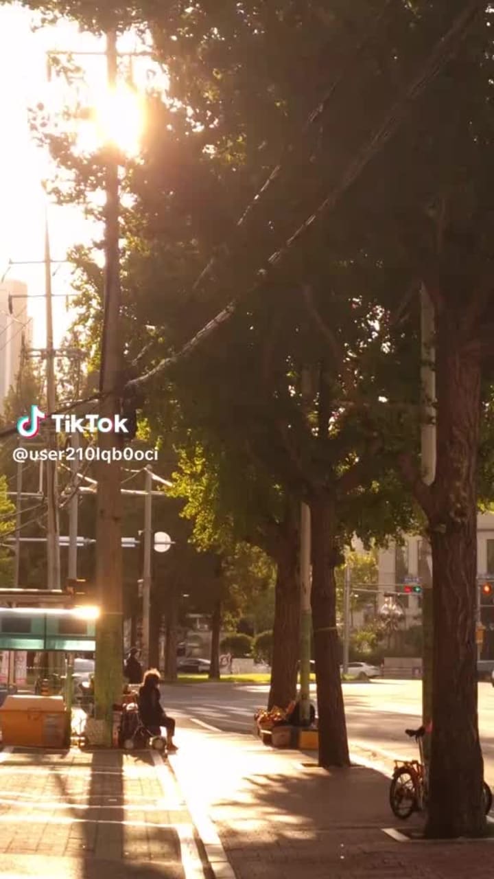 Myeongdong Night Market