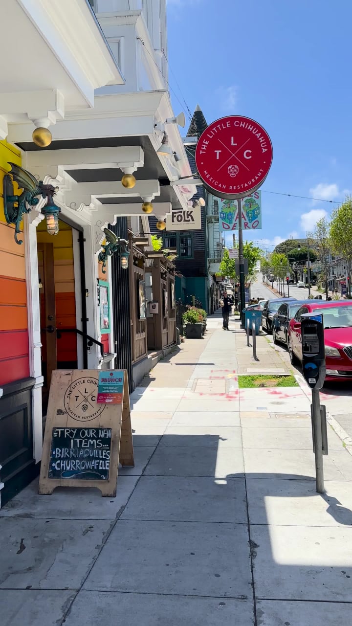 The Little Chihuahua