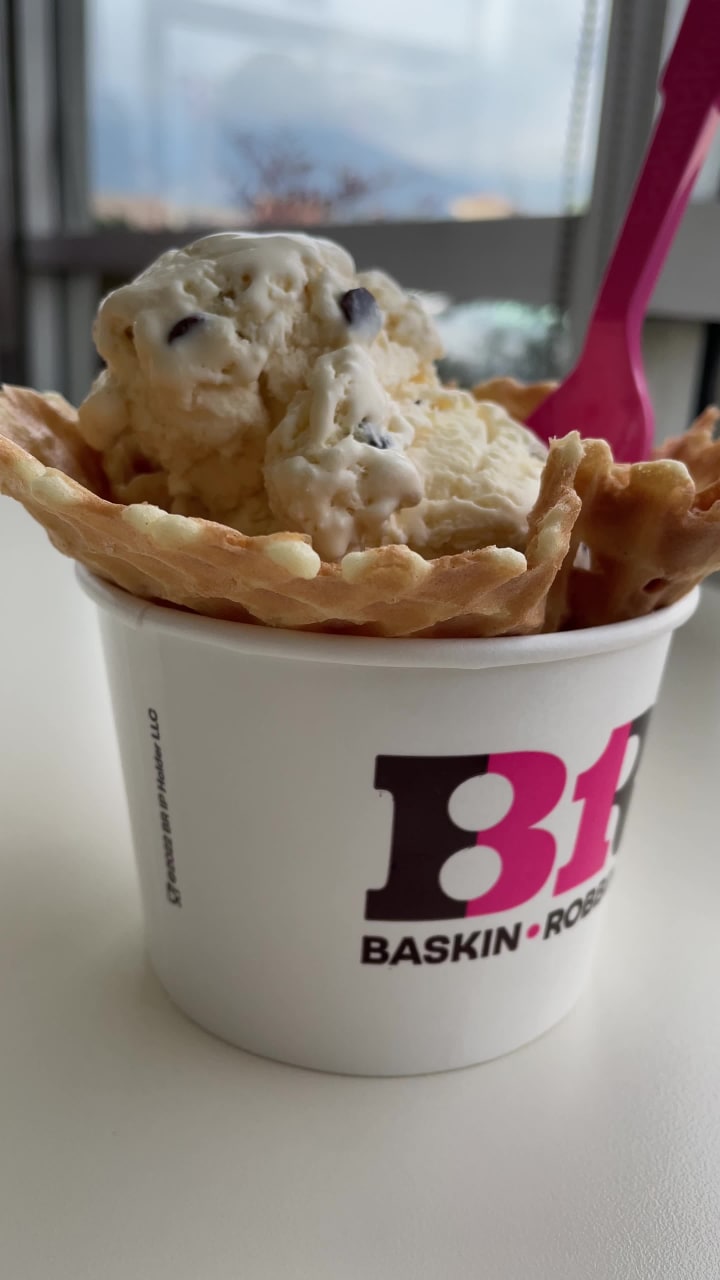 Video review of Baskin-Robbins