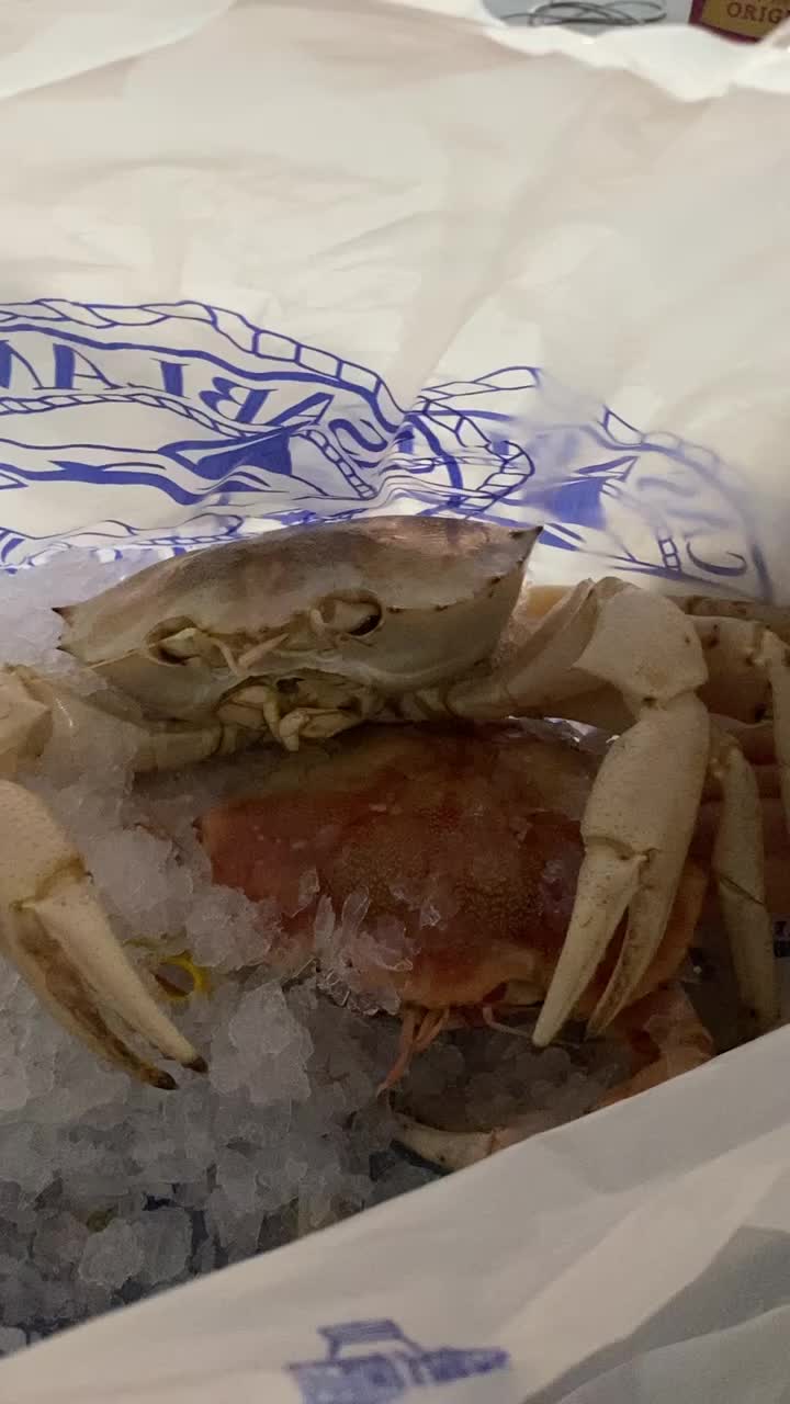 Casablanca Seafood Bar & Grill