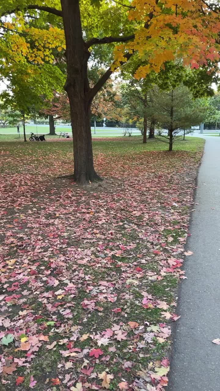 Video review of Queen's Park