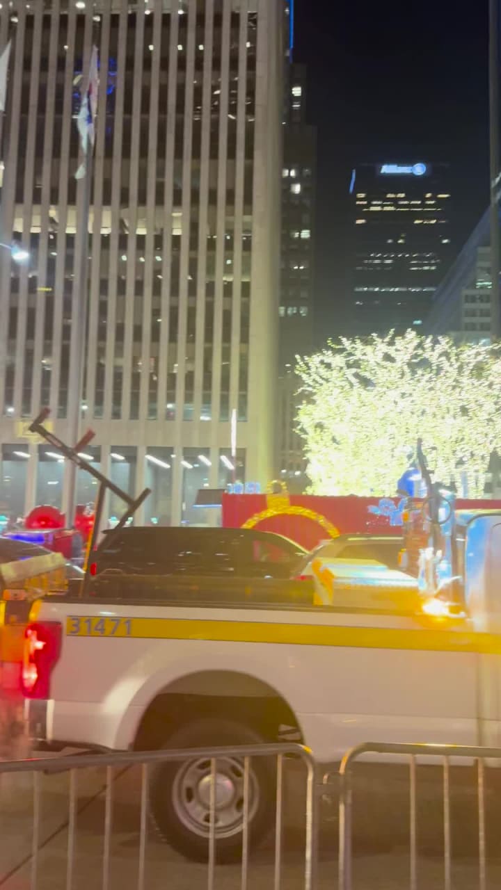 Video review of Van Leeuwen Ice Cream