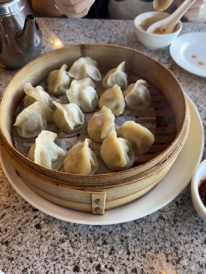 Video review of Chinese Dumpling House 真東北餃子館