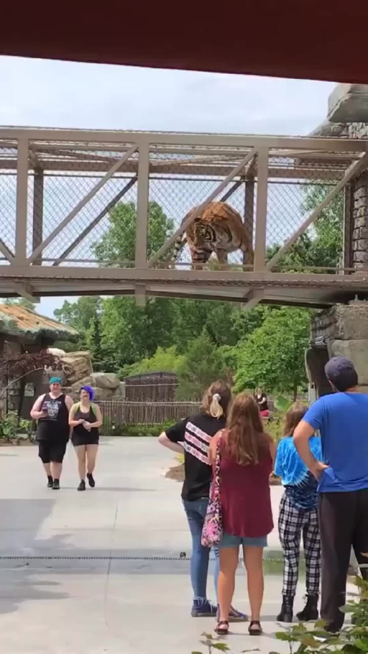Tulsa Zoo