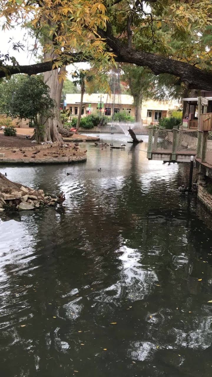 San Antonio Zoo