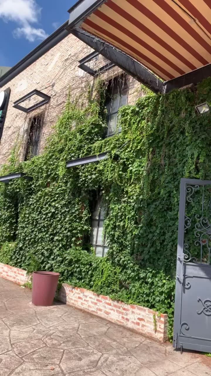 Tom N Toms Coffee (Carrolton) 