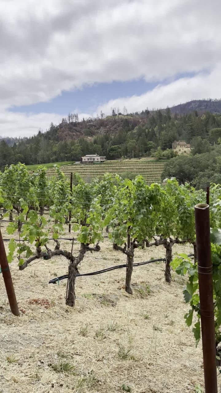 Diamond Creek Vineyards