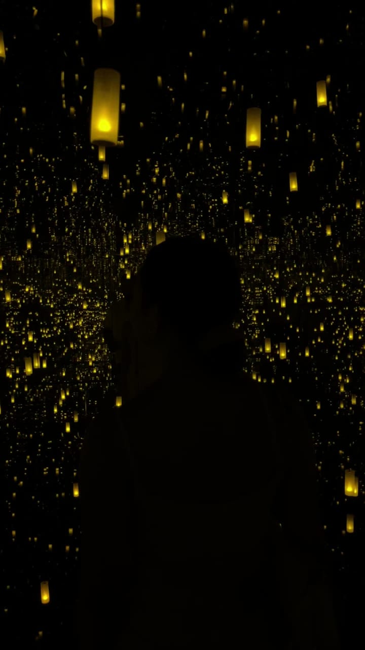 Museum of Fine Arts Houston