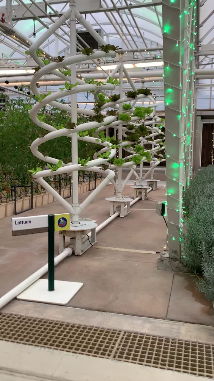 Disney's Hollywood Studios