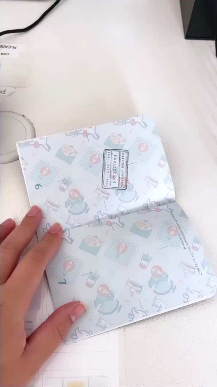 Video review of Boba Guys