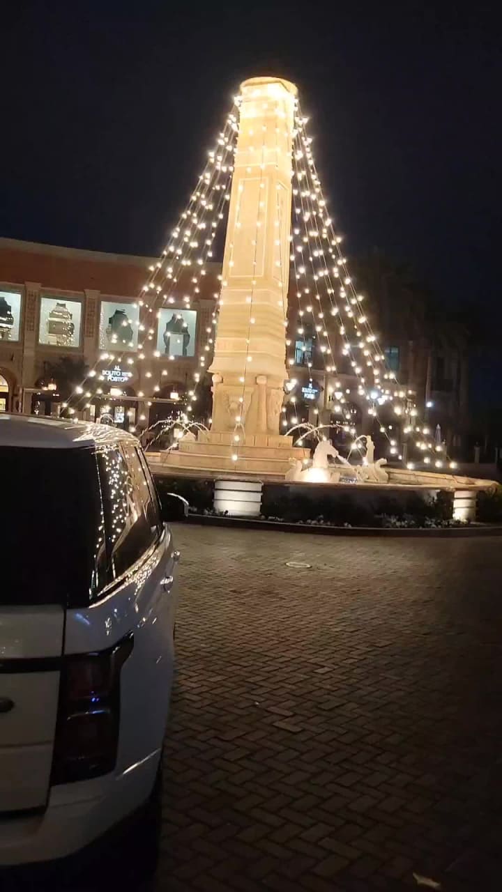 Video review of Echo & Rig