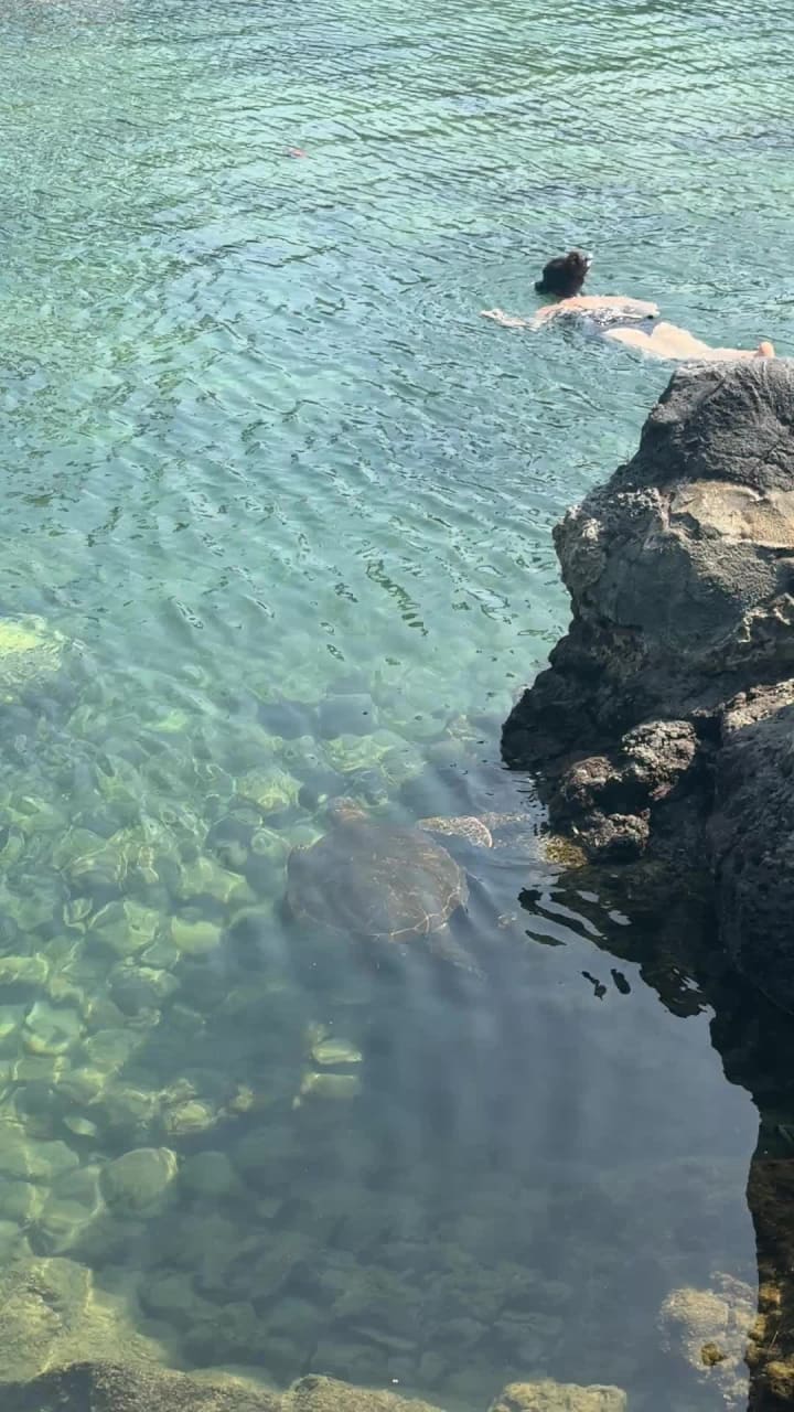 Video review of The Lagoon