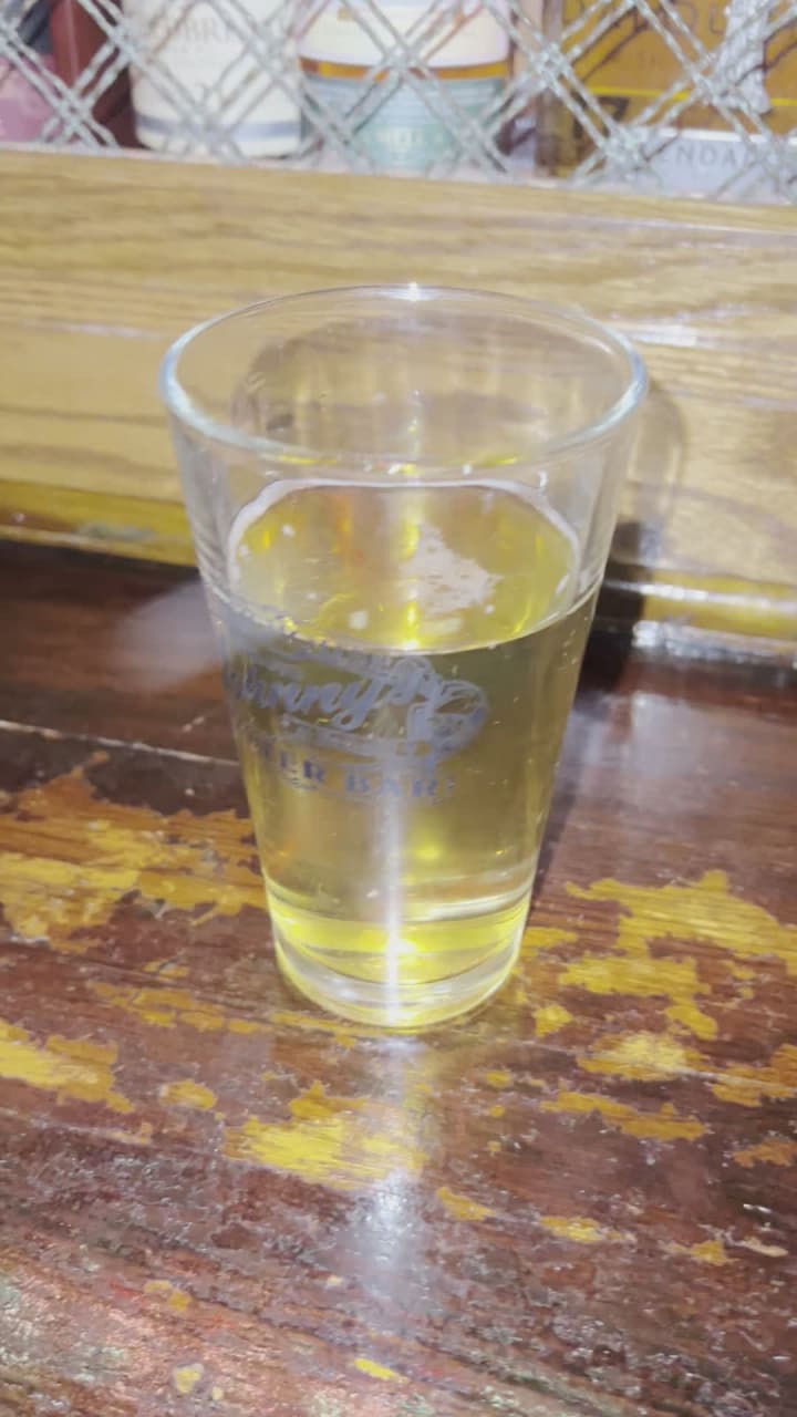 Video review of Meehan's Irish Pub & Seafood House