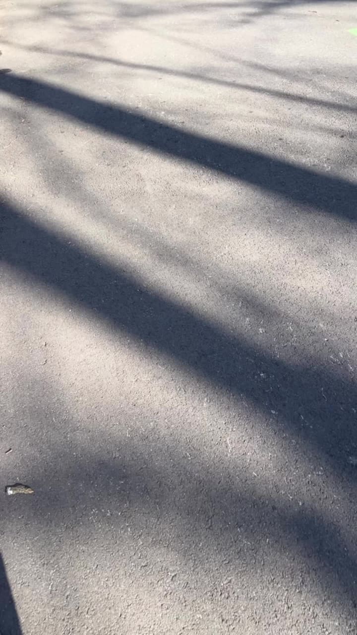 Video review of Cunningham Park