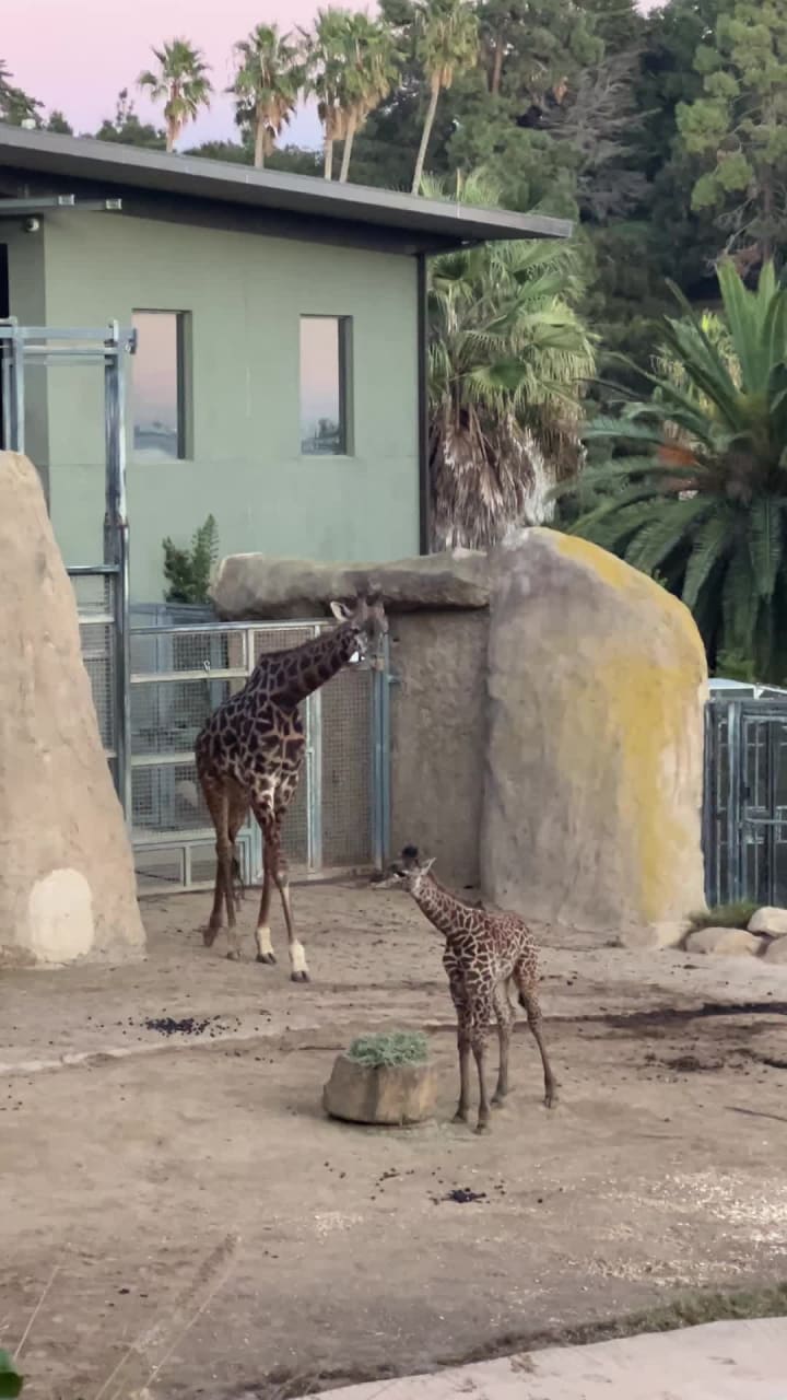 Santa Barbara Zoo