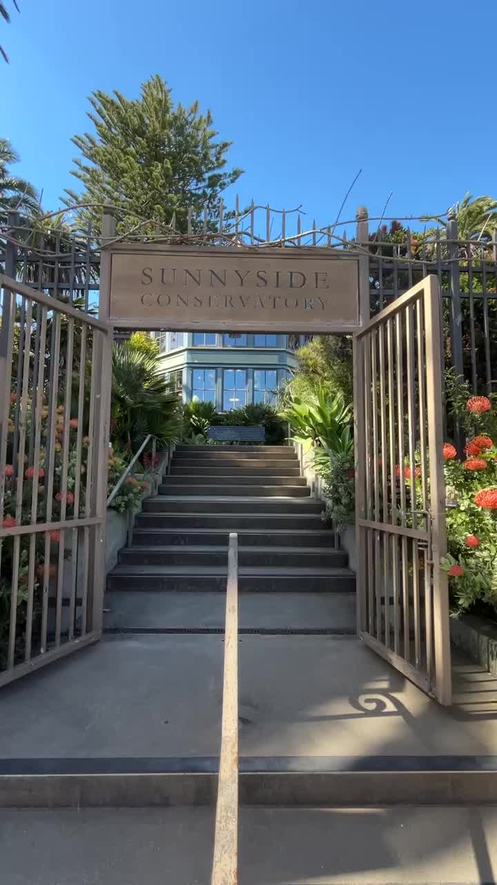 Sunnyside Conservatory