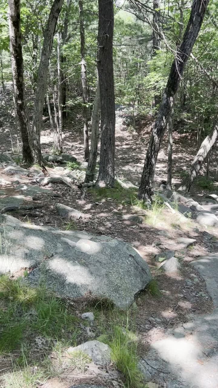 Blue Hill Observation Tower