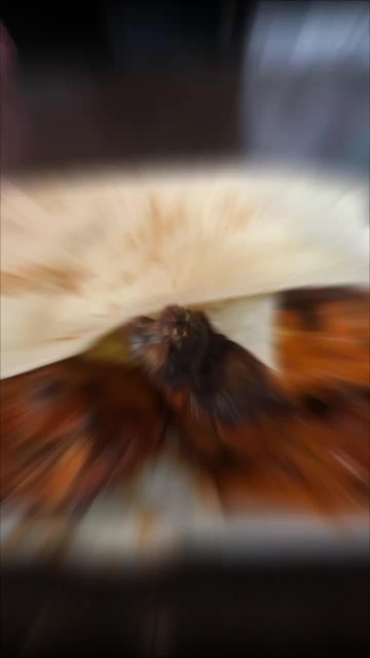 Johannesburg CBD Bus Stop