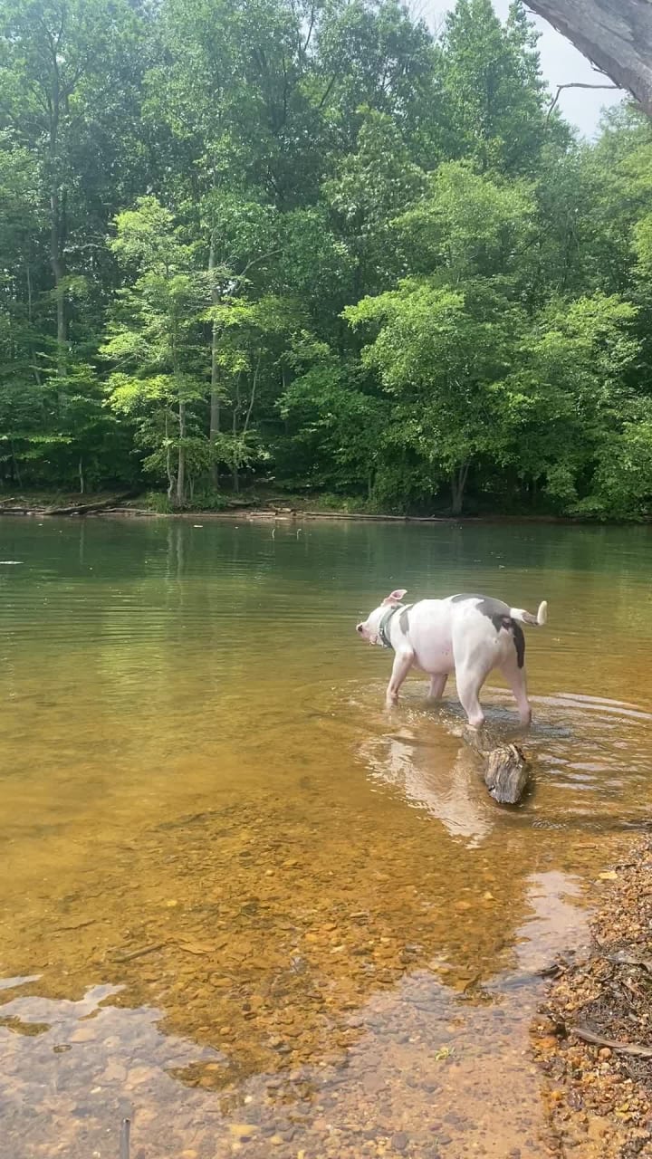 Loch Raven Reservoir