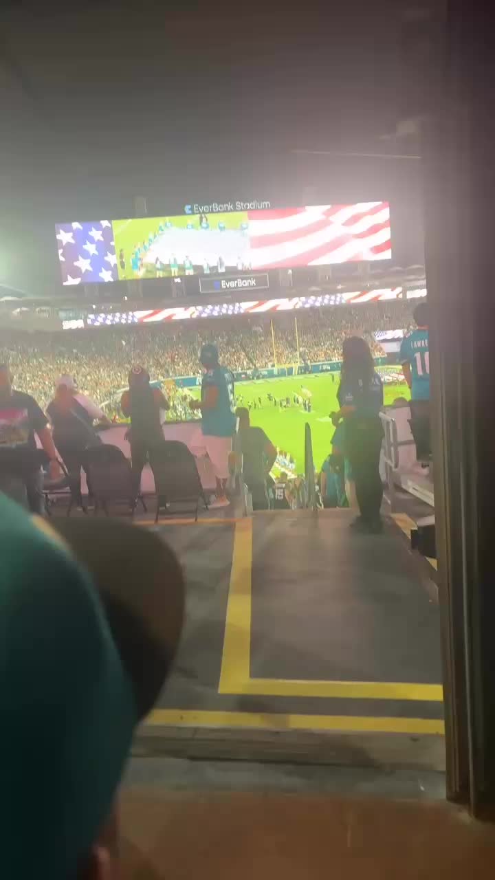 Video review of Everbank Field Terrace Suites