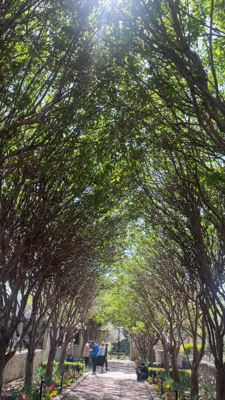 The Ewing and Muriel Kauffman Memorial Garden