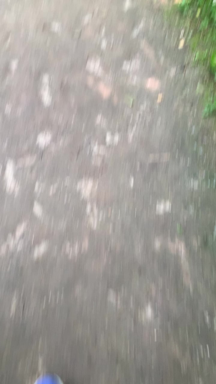 Jack Darling Memorial Park