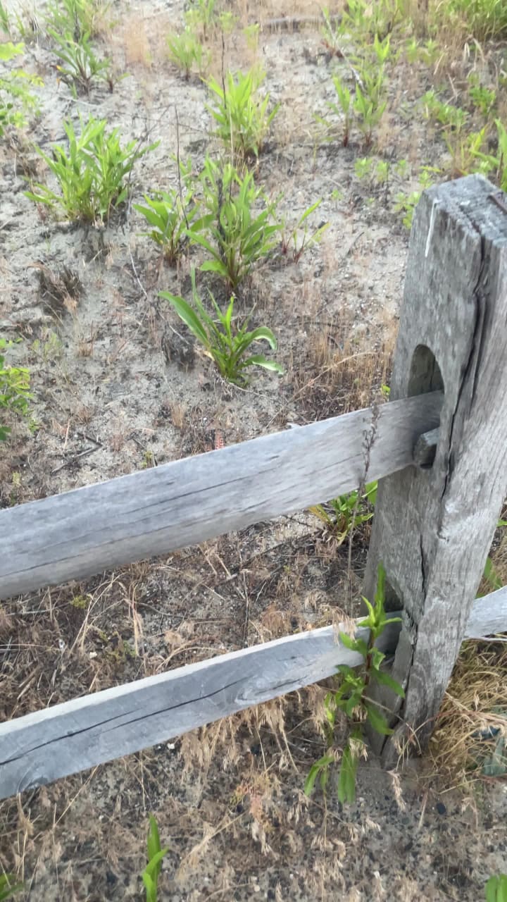 Video review of Jersey City Waterfront