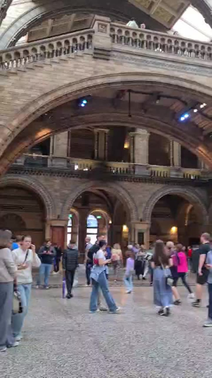 Video review of Natural History Museum