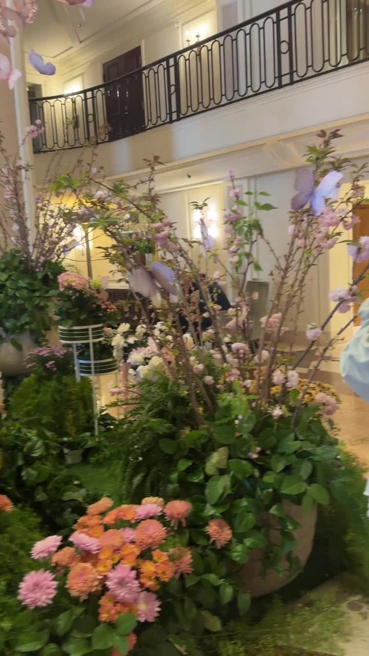 Video review of THE Blvd