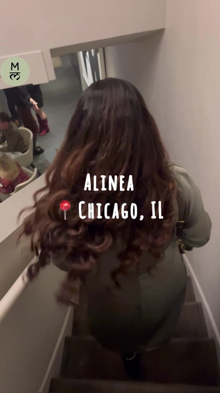 Video review of Alinea