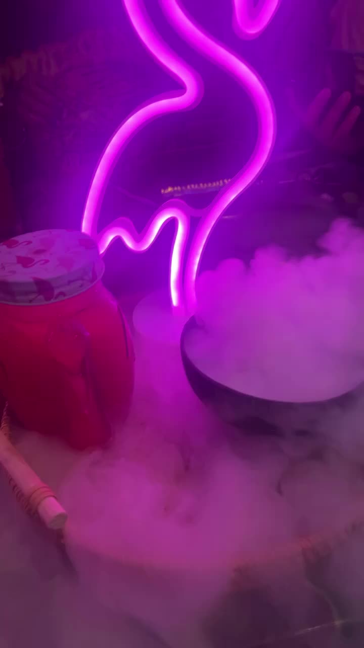 Flamingoz Taste of Miami