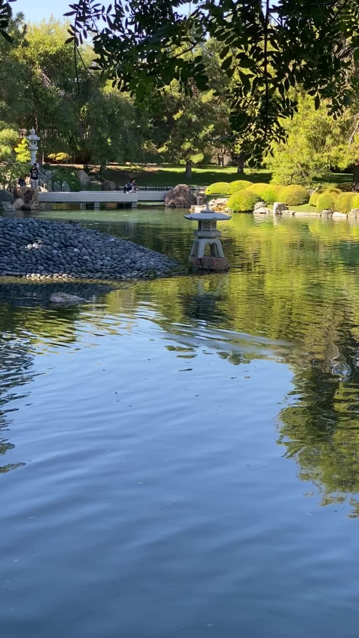 Video review of Japanese Friendship Garden
