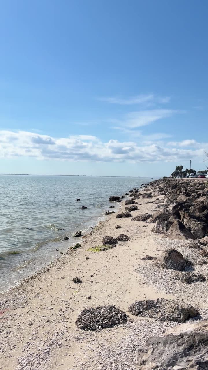 Video review of Ben T Davis Beach