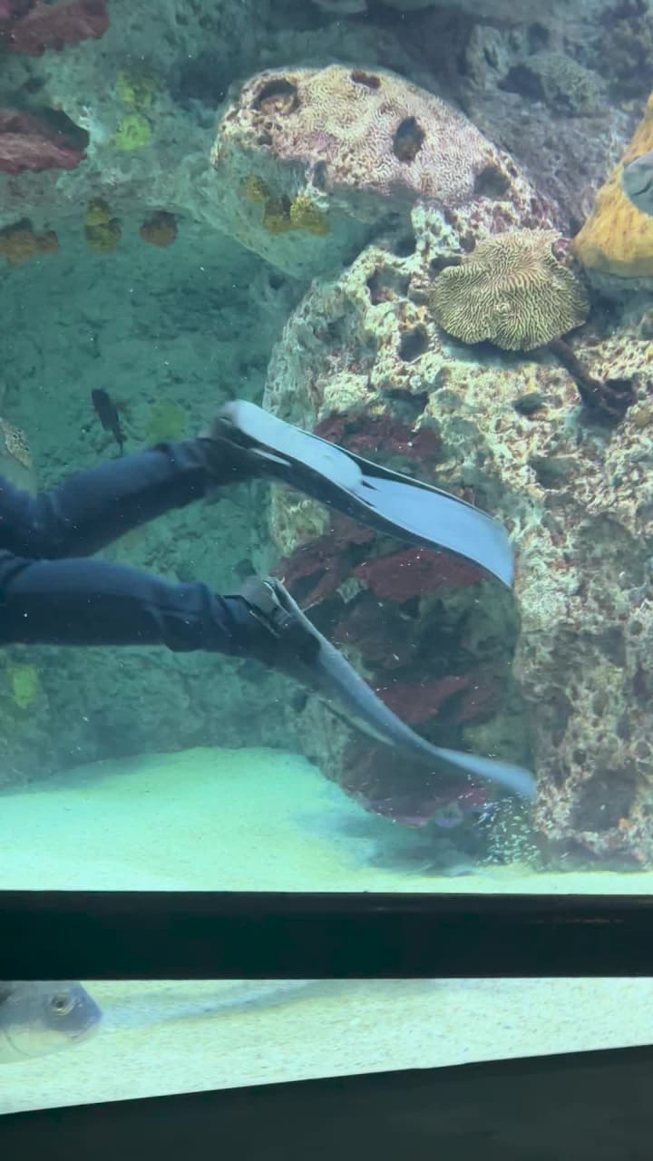 Baltimore National Aquarium