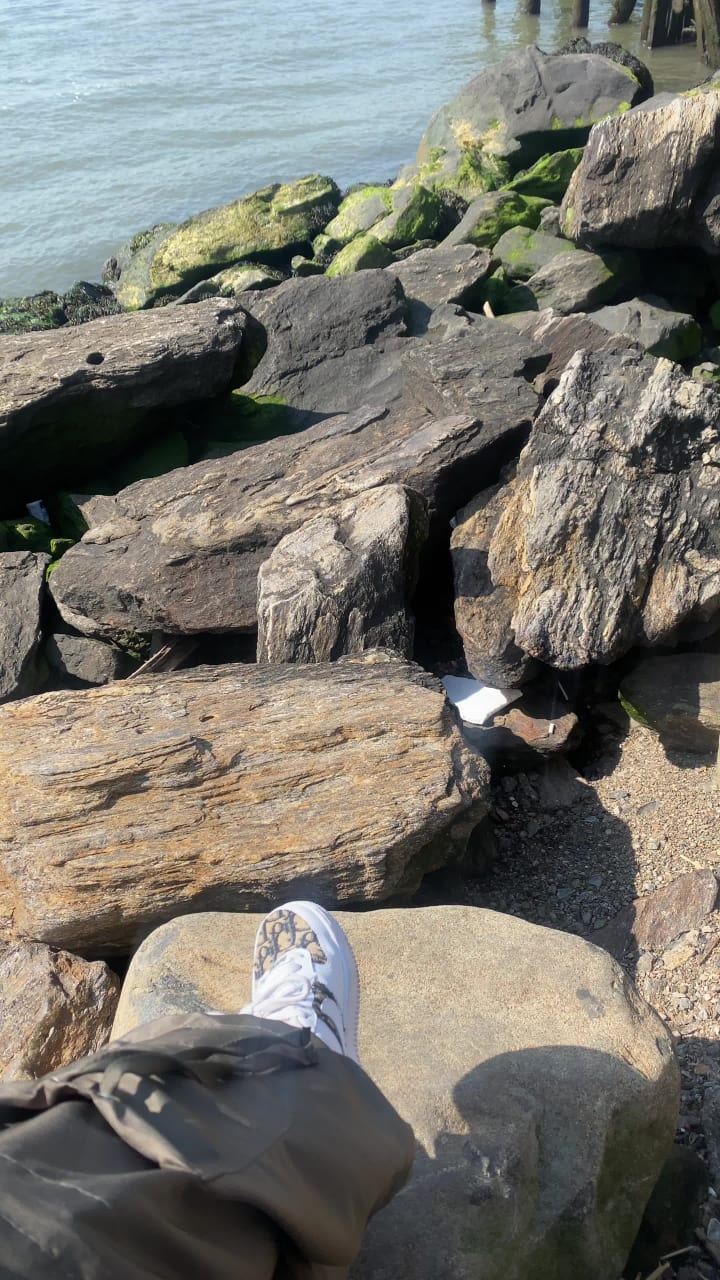 Video review of Domino Park