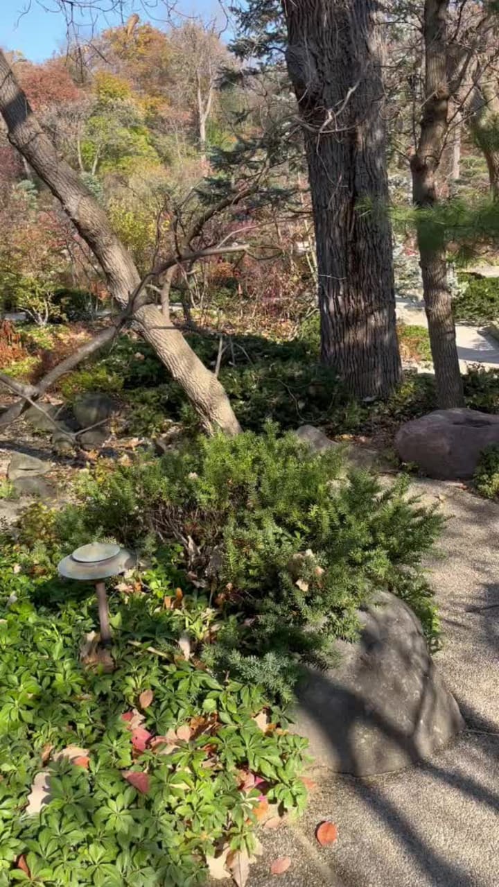 Video review of Anderson Japanese Gardens
